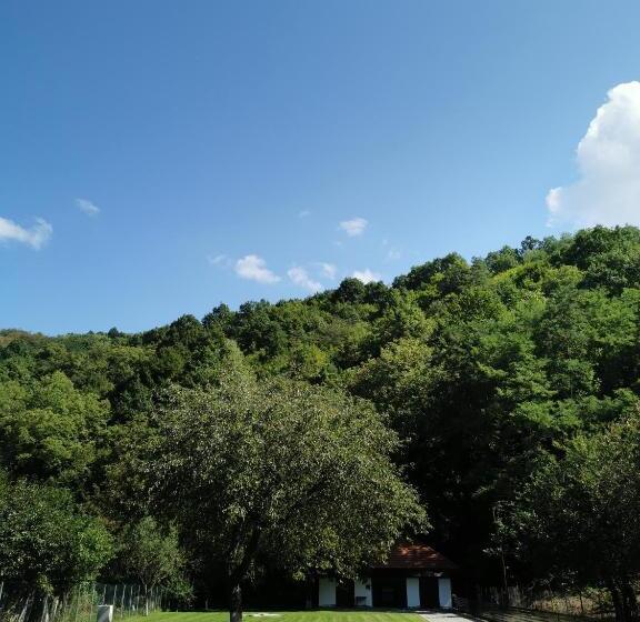 ペンション Mateo Transalpina