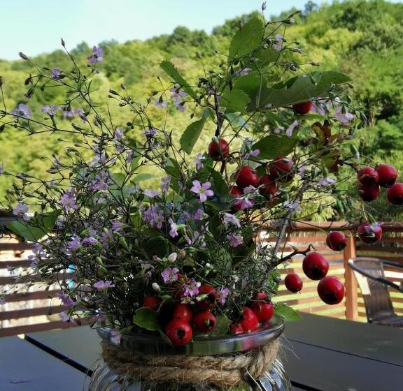 پانسیون Mateo Transalpina