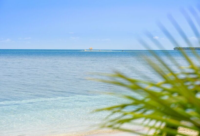 渡假胜地 Calala Island