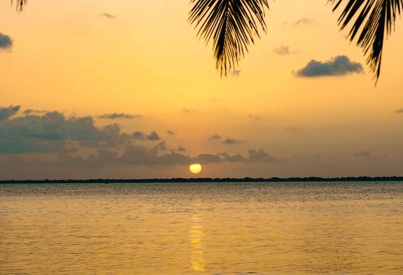 渡假胜地 Calala Island