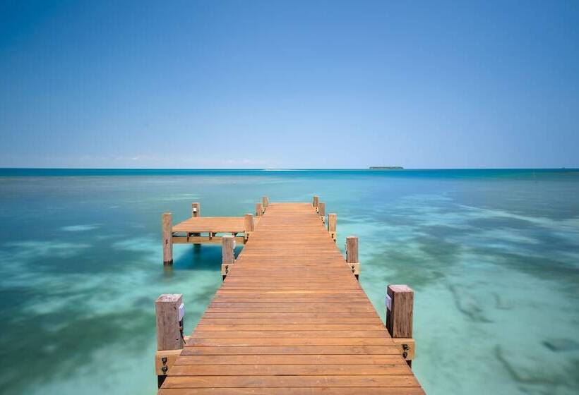 渡假胜地 Calala Island