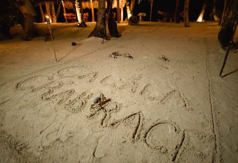 渡假胜地 Calala Island