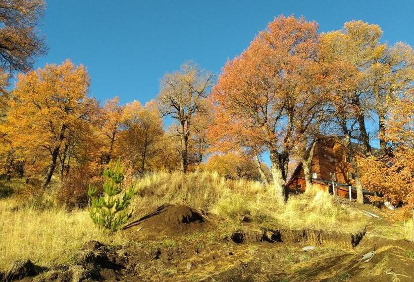 אתר נופש Lonquimay Lodge