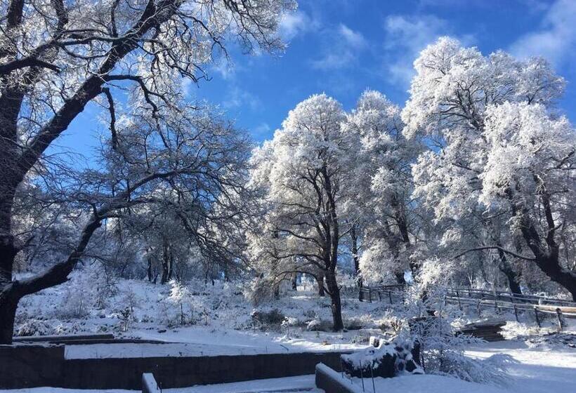 אתר נופש Lonquimay Lodge