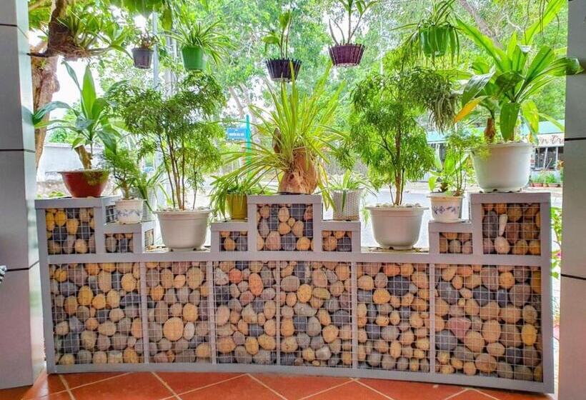 Thanh Binh Hotel Con Dao