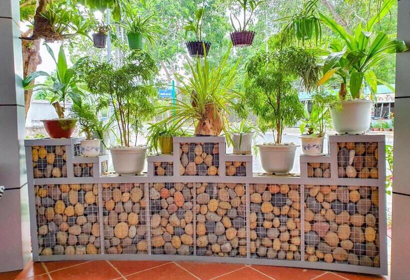 Thanh Binh Hotel Con Dao