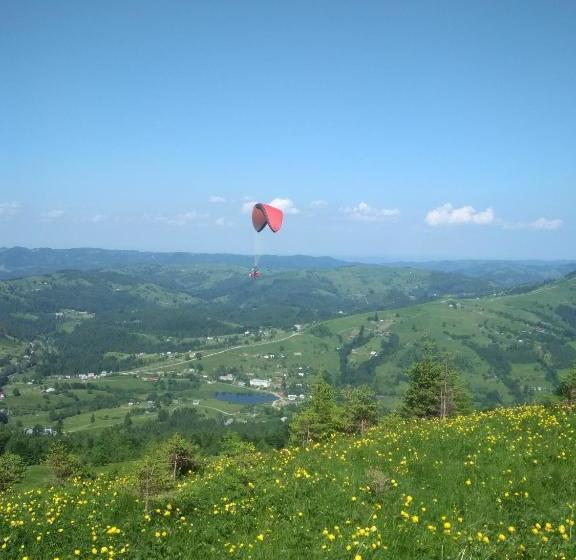 Общежитие сafe Gorets