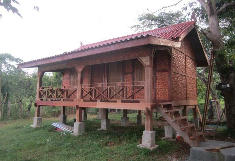 旅馆 Don Som Riverside Guesthouse