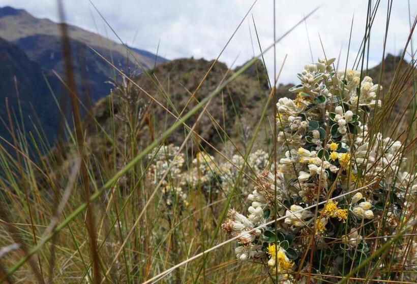 فندق صغير Hostería Cabañas Del Pescador
