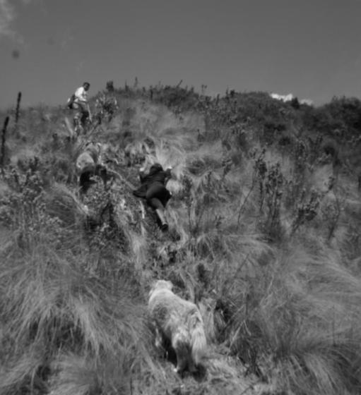 فندق صغير Hostería Cabañas Del Pescador