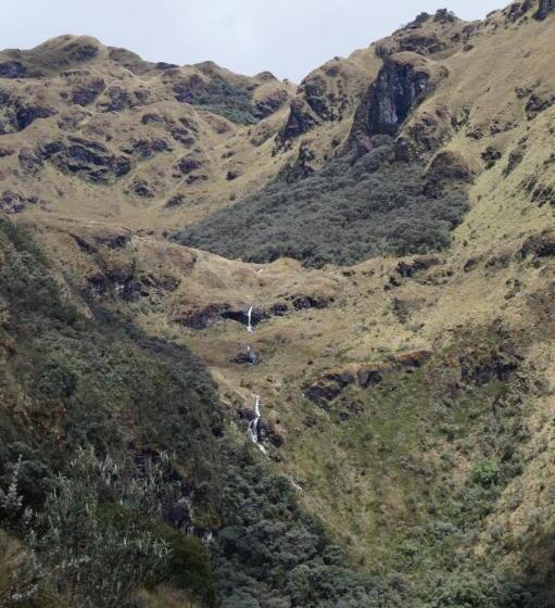 فندق صغير Hostería Cabañas Del Pescador