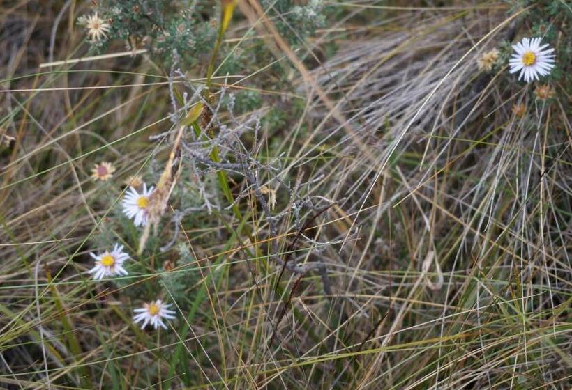 فندق صغير Hostería Cabañas Del Pescador