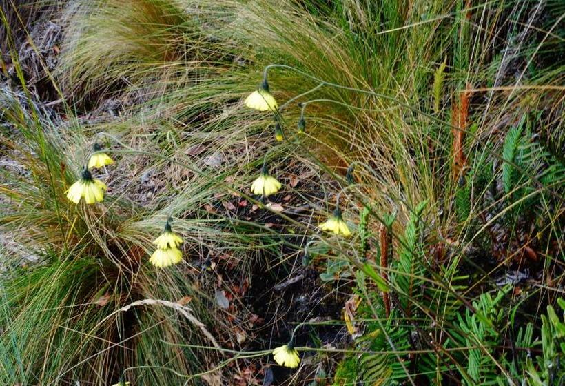 فندق صغير Hostería Cabañas Del Pescador