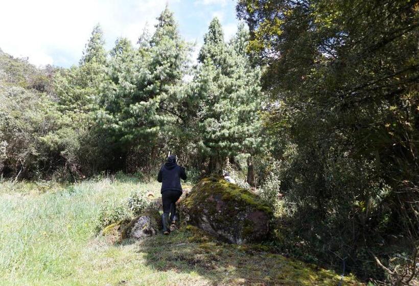 فندق صغير Hostería Cabañas Del Pescador