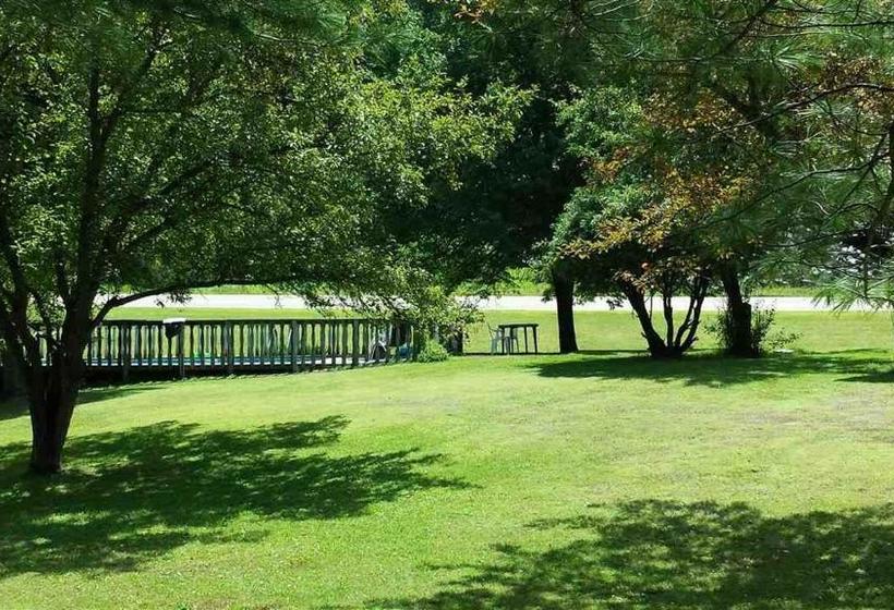 ユースホステル Inn By The River