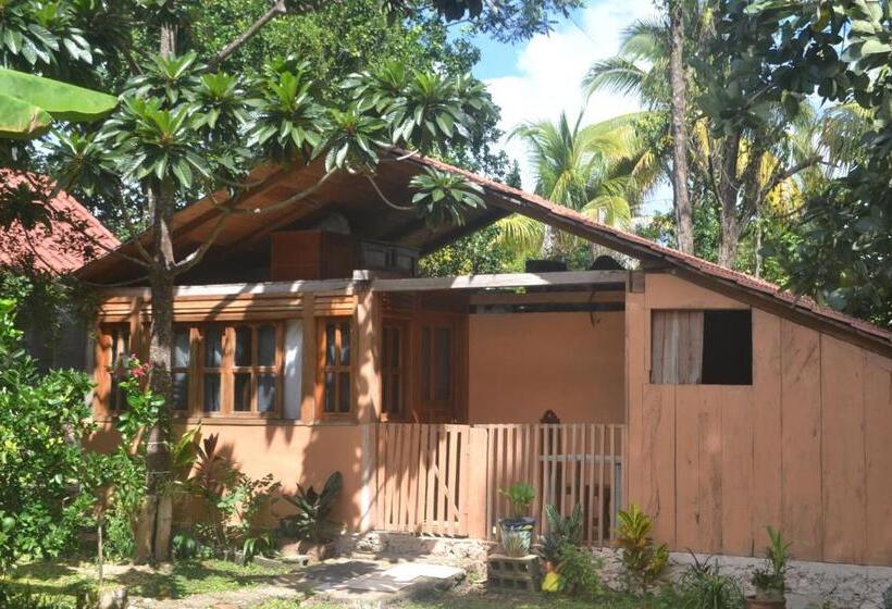 ユースホステル Posada Los Reyecitos