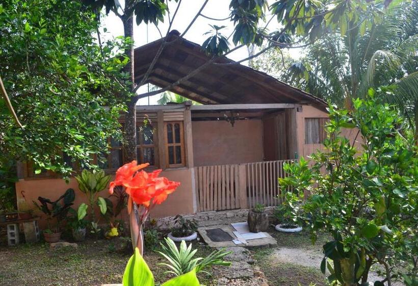 ユースホステル Posada Los Reyecitos