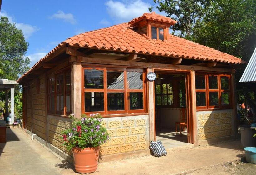 ユースホステル Posada Los Reyecitos