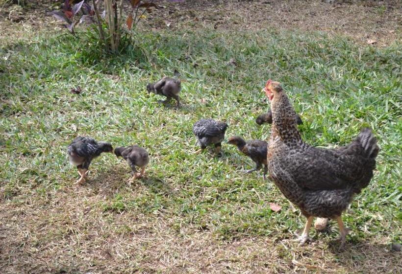 فندق صغير Posada Los Reyecitos