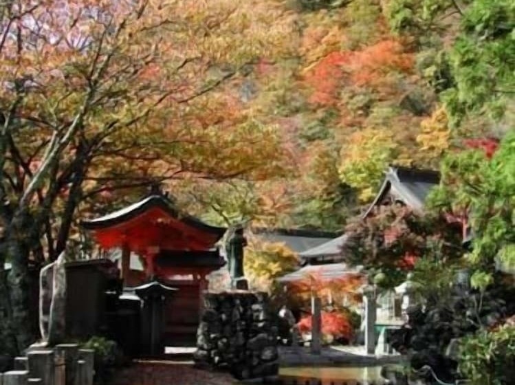 Atarashiya Ryokan Dorogawa Onsen Hot Spring