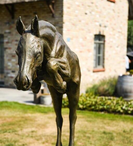 צימר Bb Hof Ter Boone