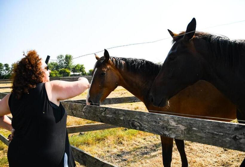 צימר Bb Hof Ter Boone