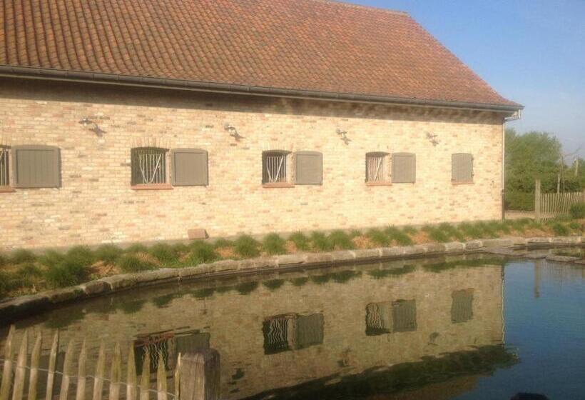 צימר Bb Hof Ter Boone