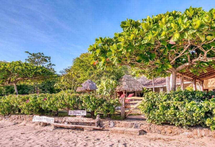 住宿加早餐 La Veranera, Playa El Coco