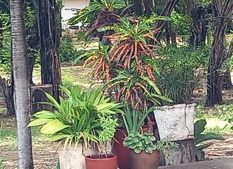 住宿加早餐 La Veranera, Playa El Coco