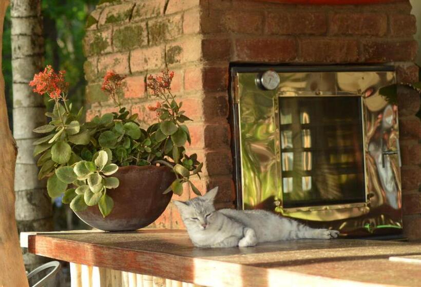 住宿加早餐 La Veranera, Playa El Coco