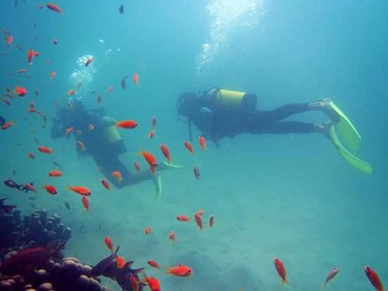 ベッドアンドブレックファースト Mafia Beach Bungalows Sea View