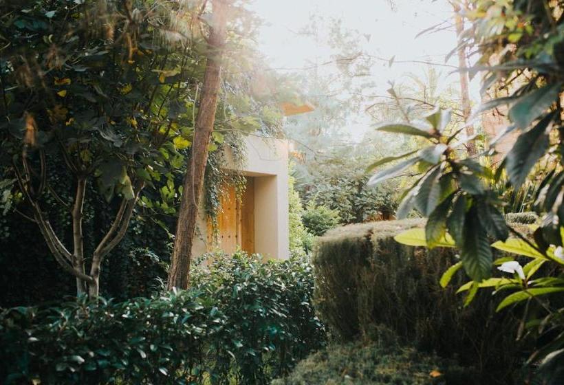 민박 María & Bernardo Casa   Viñedo