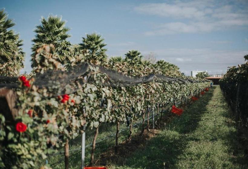 민박 María & Bernardo Casa   Viñedo