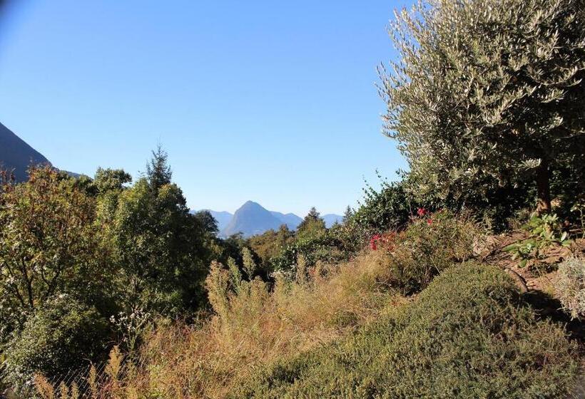 تختخواب و صبحانه Mt S Cosy Place