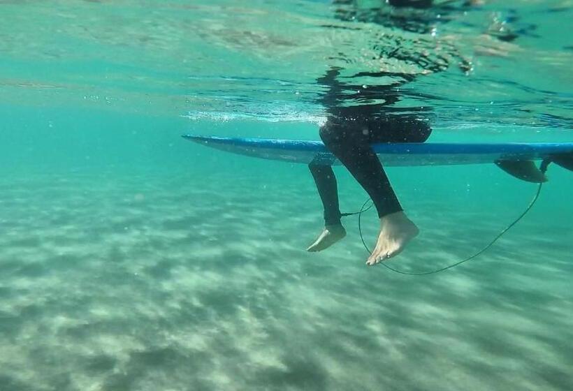 مبيت وإفطار Oli Oli Guesthouse