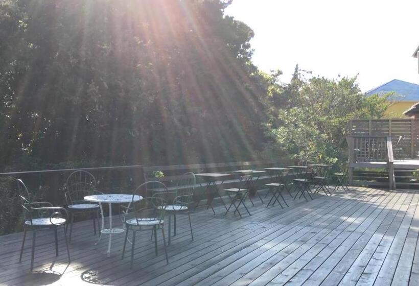 مبيت وإفطار Oli Oli Guesthouse