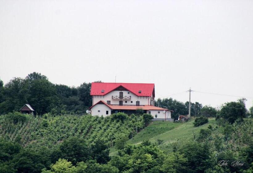 住宿加早餐  Panorama Cehu Silvaniei