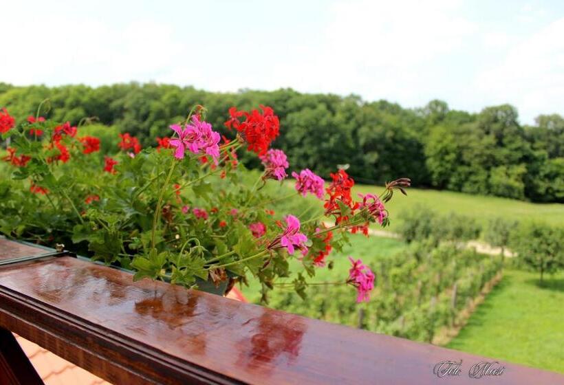 住宿加早餐  Panorama Cehu Silvaniei
