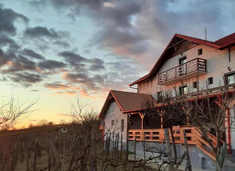住宿加早餐  Panorama Cehu Silvaniei