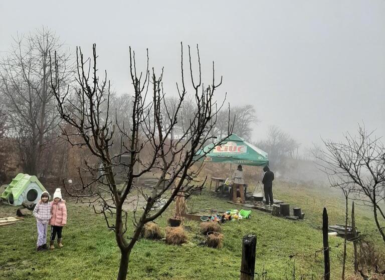 住宿加早餐  Panorama Cehu Silvaniei