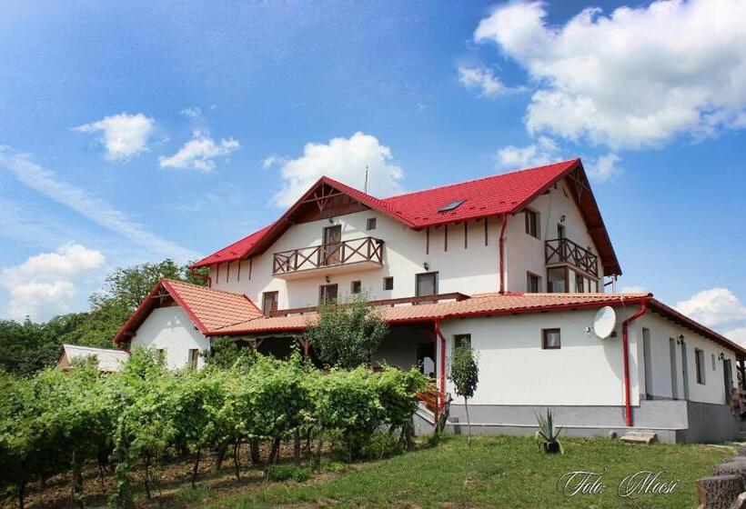 住宿加早餐  Panorama Cehu Silvaniei