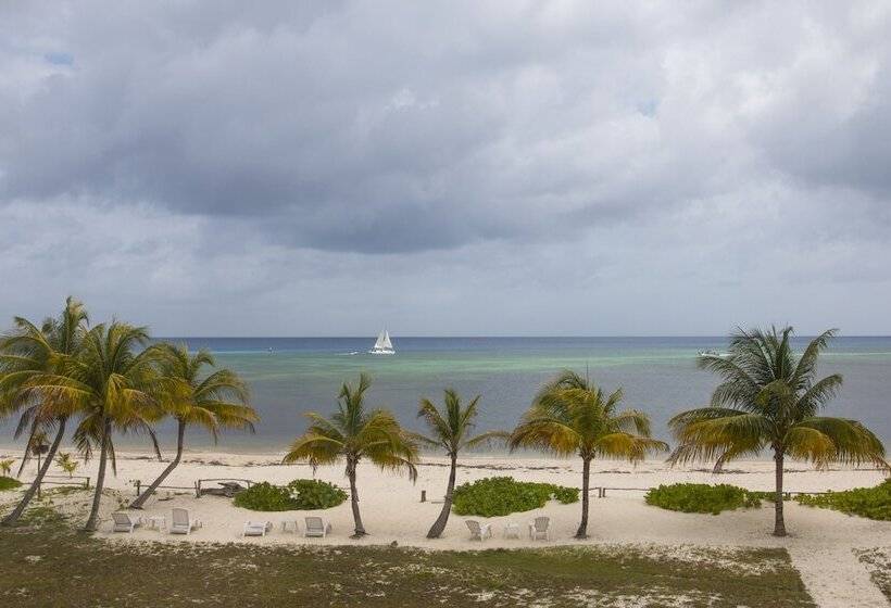تختخواب و صبحانه Puerta Del Mar Cozumel