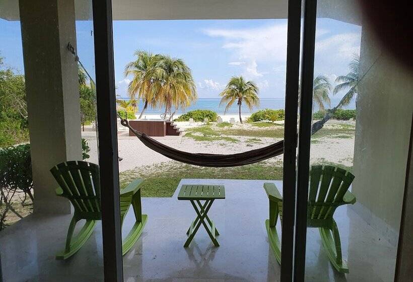 住宿加早餐  Puerta Del Mar Cozumel