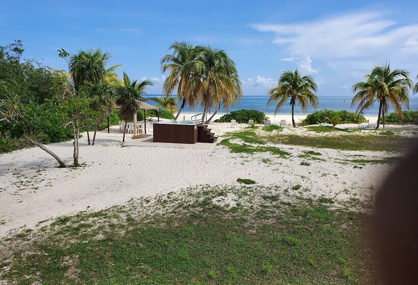 住宿加早餐  Puerta Del Mar Cozumel