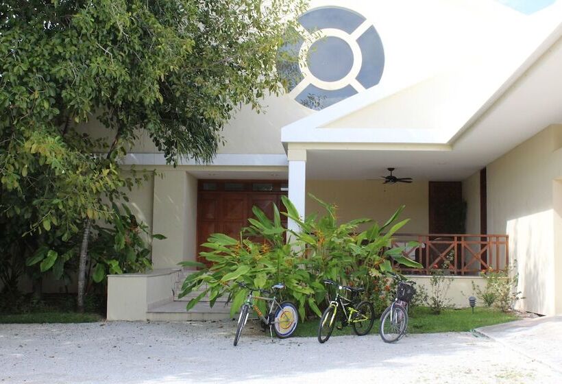 住宿加早餐  Puerta Del Mar Cozumel