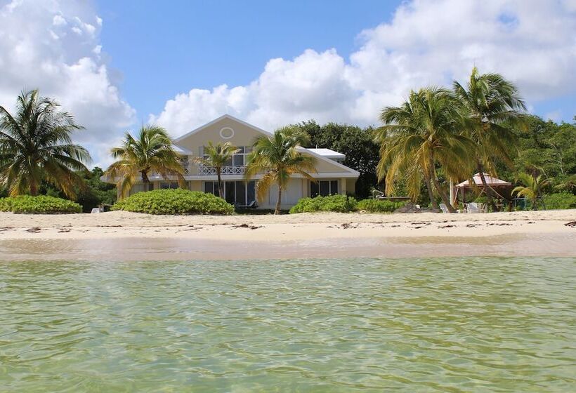 住宿加早餐  Puerta Del Mar Cozumel