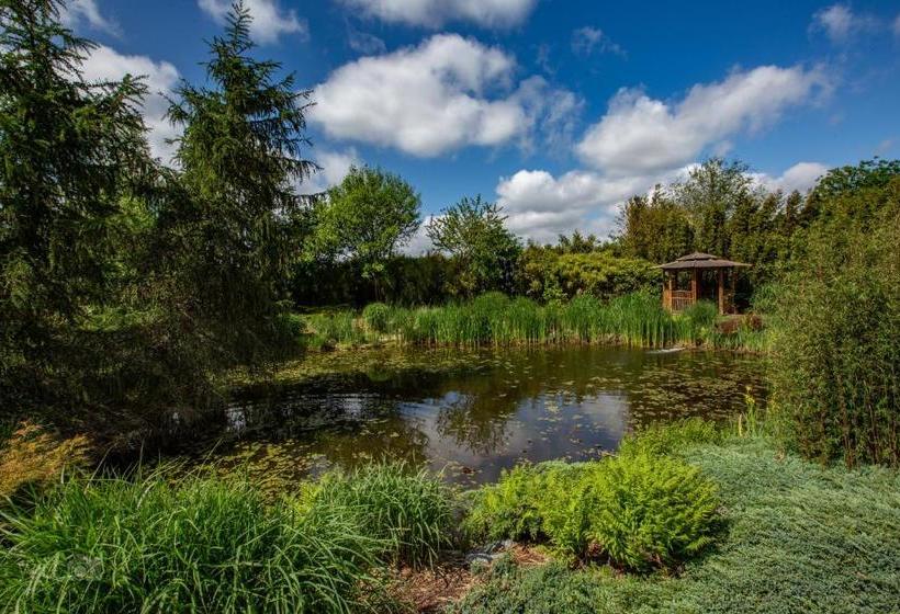 住宿加早餐  Romala's Home