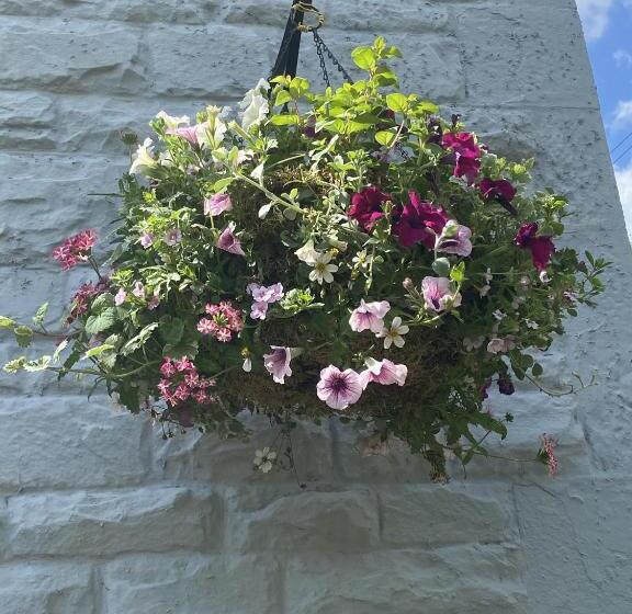 Bed and Breakfast Rooms At The Usk