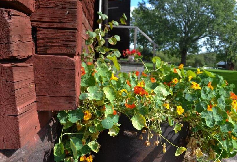 Bull August Gård Vandrarhem/hostel