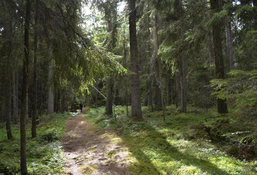 Bull August Gård Vandrarhem/hostel